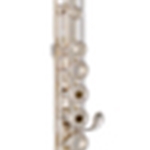 Avanti 2000BIF Hand Cut  Avanti-Brannen Headjoint Sterling Head, Body  Foot offset G  Split E