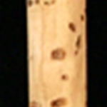 Fox Oboe Cork Tubes Package Of 6