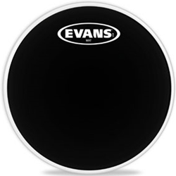 Evans 8