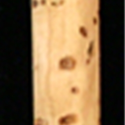 Fox Oboe Cork Tubes Package Of 6