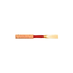 Jones Medium-Soft Oboe Reed in its protective plastic storage vial at MusicMasters Tallahassee