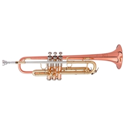 Pre-owned Getzen 900DLX Eterna Deluxe professional Bb trumpet with art deco engraving and a classic gladstone case